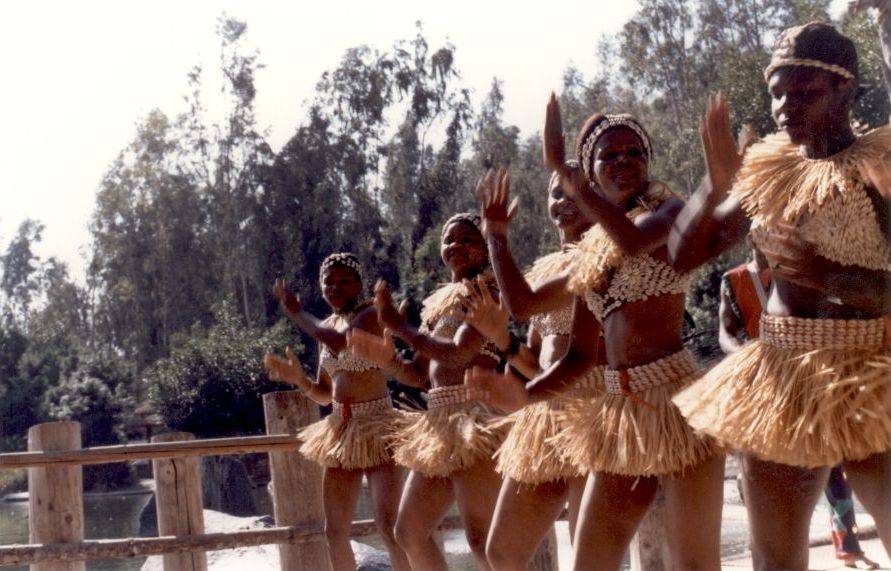 Dancers from the Diamano Coura West African Dance Company